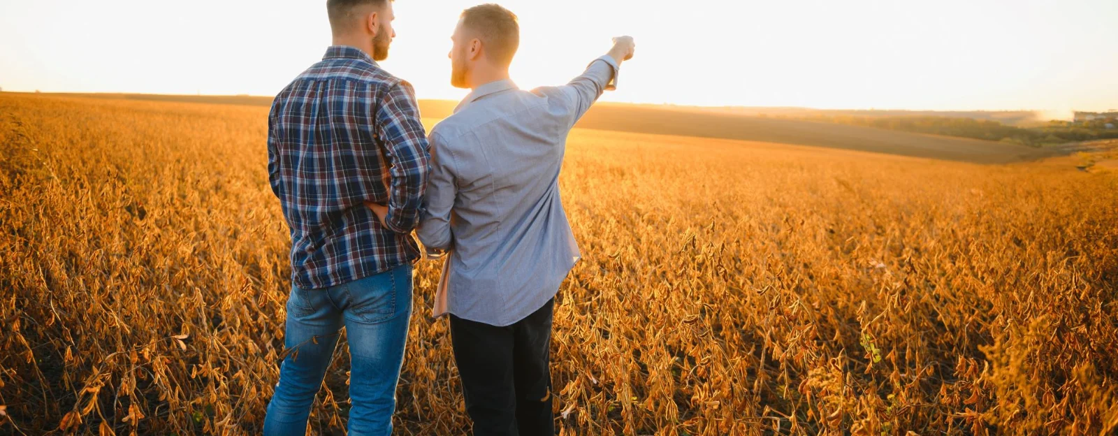 Farmer and grain merchandiser meeting in a wheat field to determine future trading.