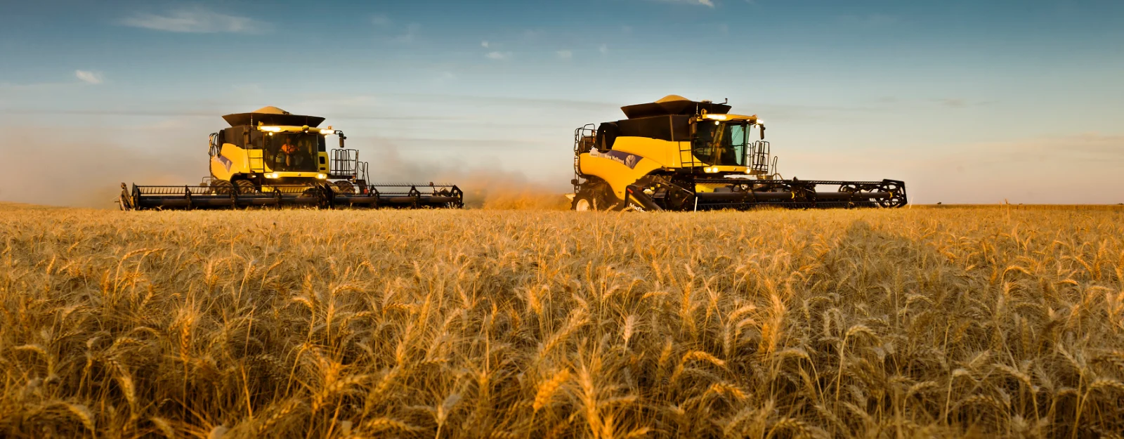 Harvesting in Balaklava (2).jpg